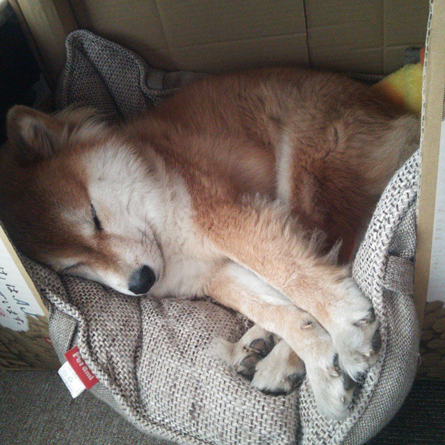 库里:史上最“远距离”三分中的领跑者!,库里十大超远三分