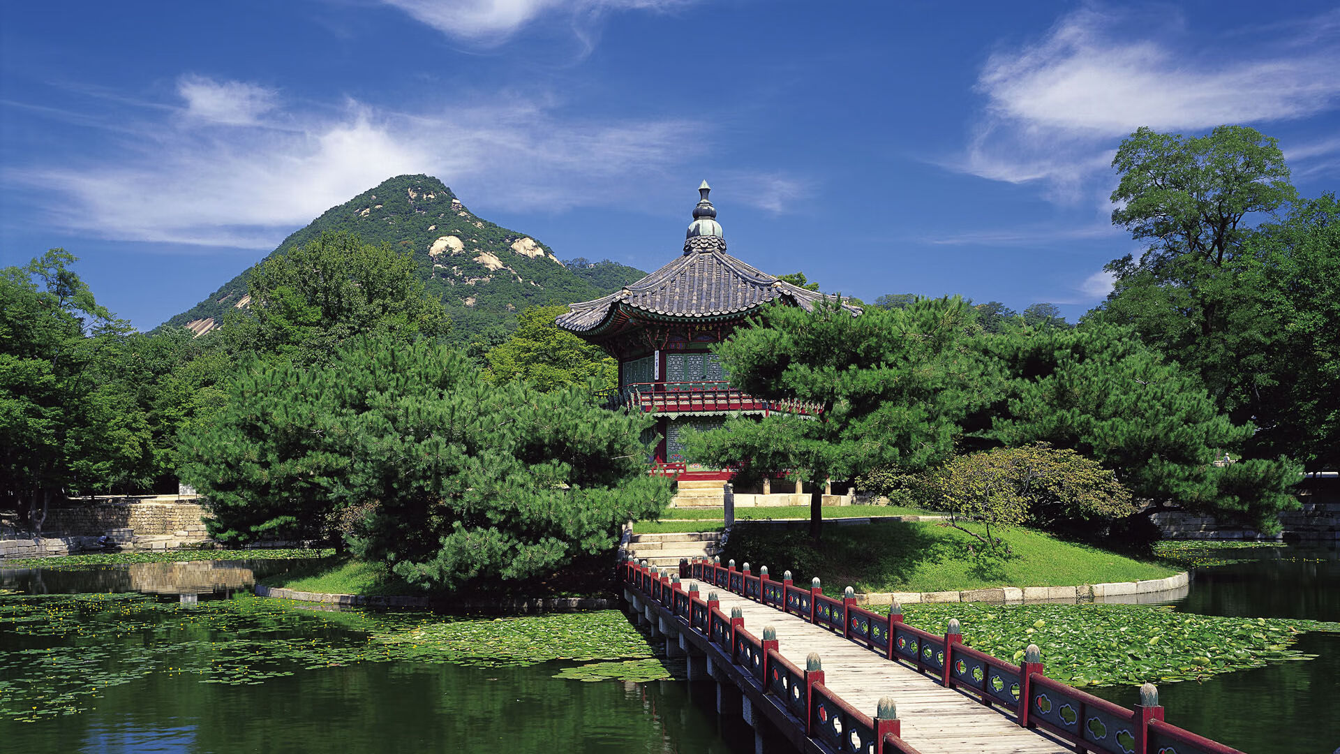 佩纳罗尔球员伤病名单更新,佩纳罗竞技