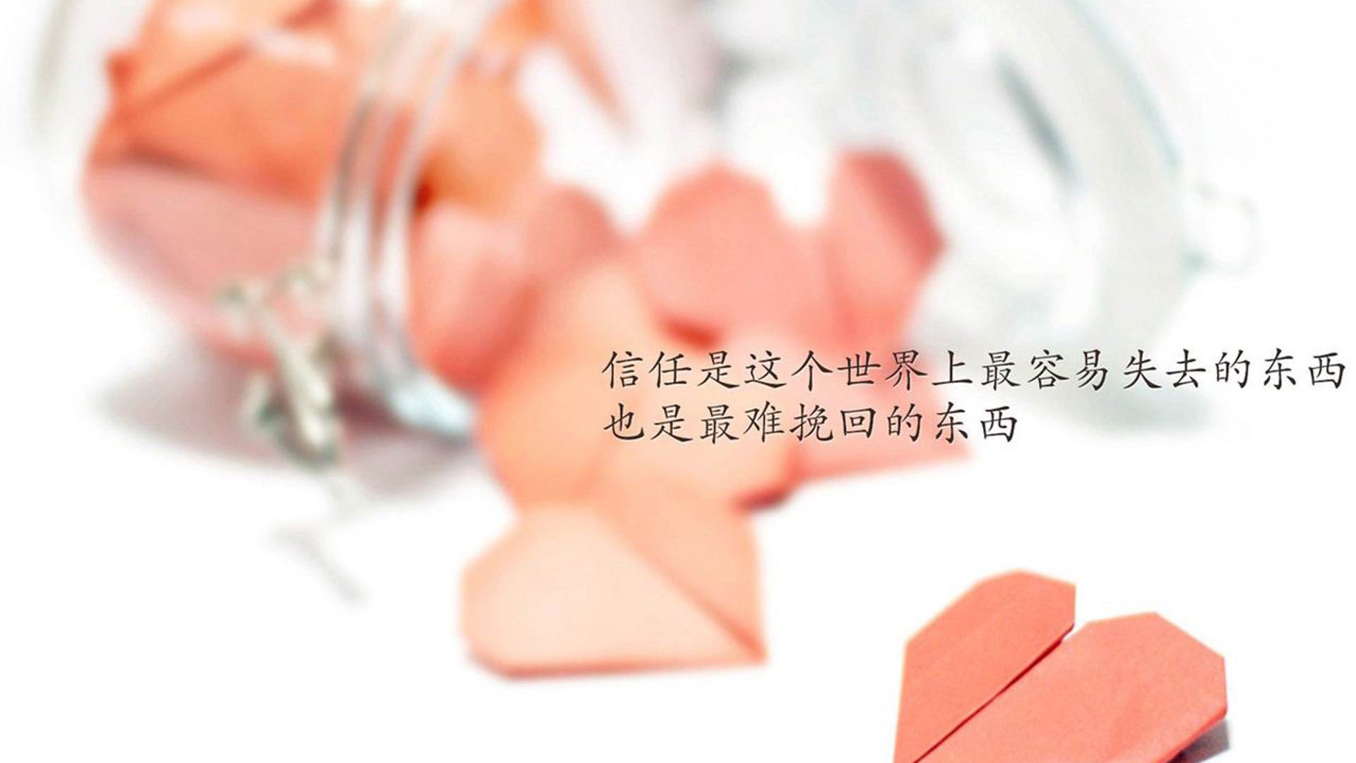 摩洛哥马术协会设立“Sinjska Alka”奖学金，支持传统马术研究。