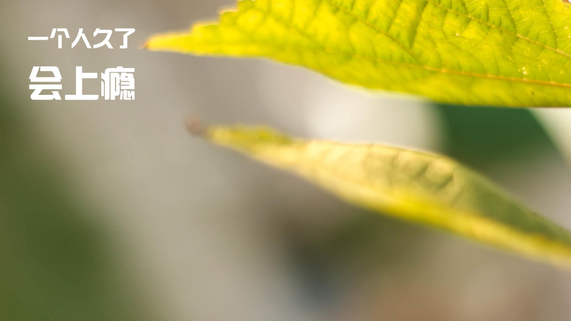 雷霆力克湖人，系列赛焦点战中亚历山大三分雨不断，雷霆力克火箭大比分2-2平