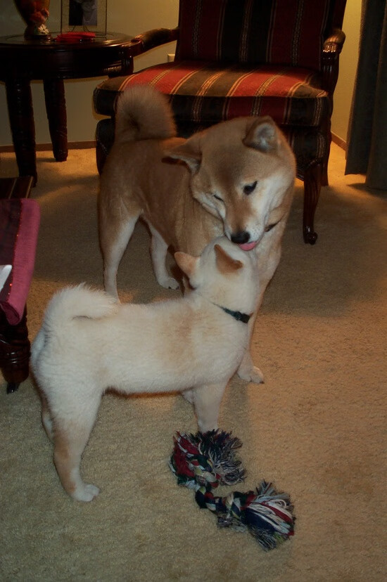 中国三人男篮强化攻防转换 增强比赛节奏感,中国男队三人篮球