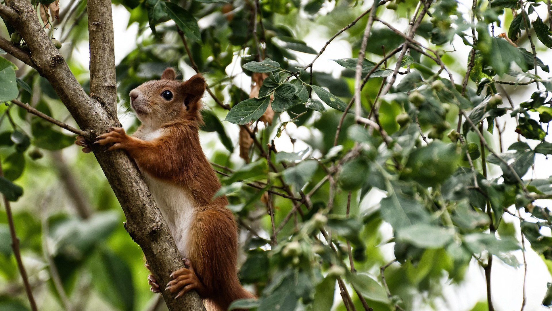 中超联赛球队阵容调整频繁，中超联赛球队阵容调整频繁了吗