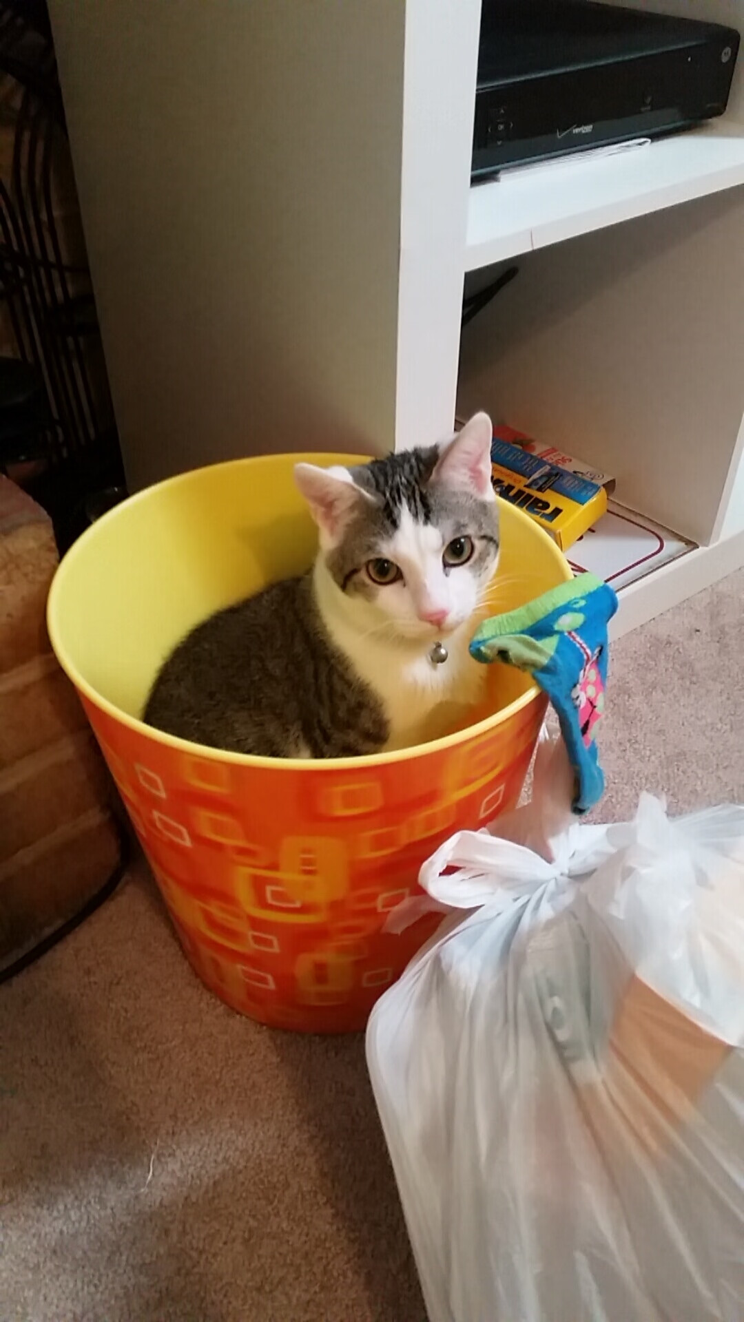 亚冠联赛中国女足战胜 球员状态稳定，女足亚洲杯中国队成绩