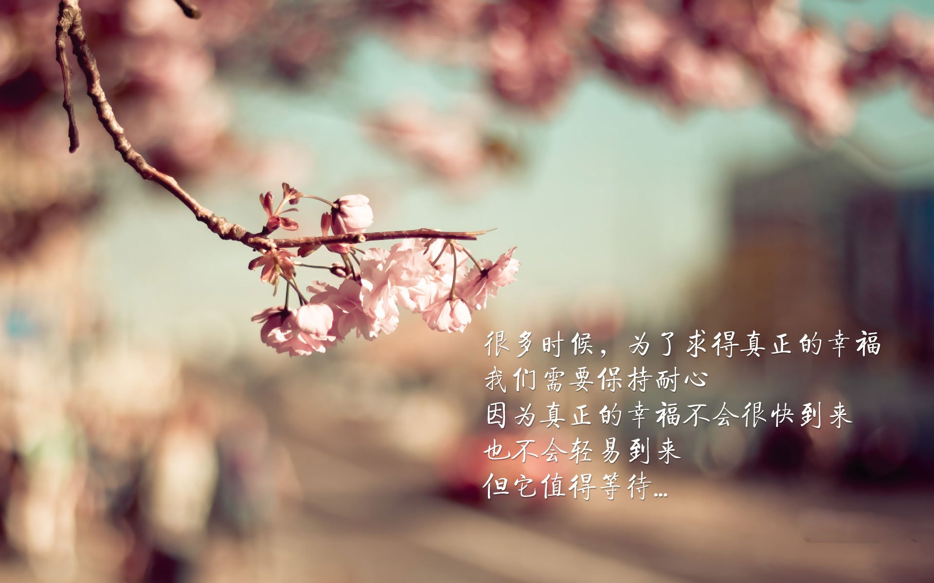 意甲防守型球队新战术观察，意甲队伍